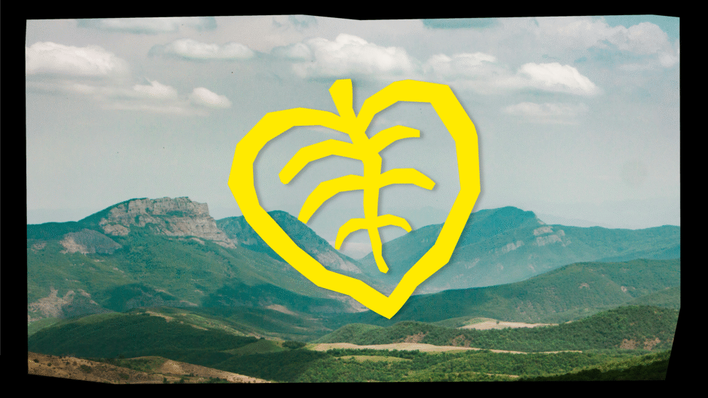 Blog thumbnail